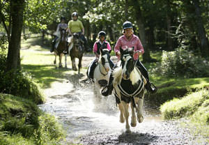 Introduction To Horse Riding For One