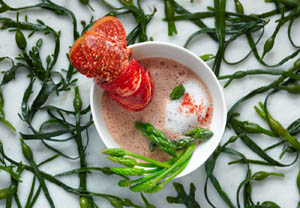 Tasting Menu And Bubbles At Michelin Starred Restaurants London