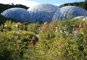 Tea And Cake For Two At Eden Project