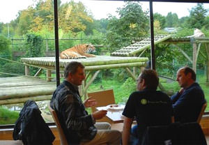 Tea With The Tigers