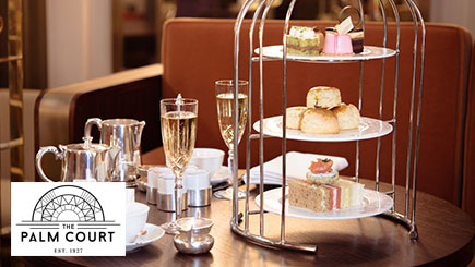 Champagne Bird Cage Afternoon Tea For Two At Park Lane Hotel In Mayfair