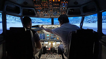 30 Minute Boeing 737 Flight Simulator Trip In Newcastle-upon-tyne
