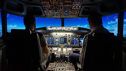 30 Minute Flight Simulator Experience In Lincolnshire