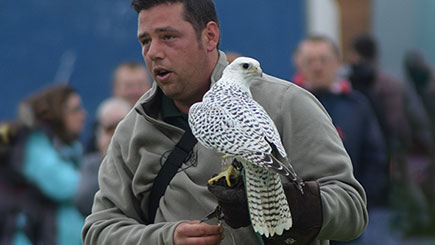 Discover Falconry For Two  Oxfordshire