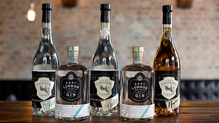 Distillery Tasting Experience For Two At East London Liquor Company