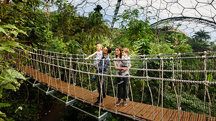 Eden Project Private Guided Rainforest Tour For Two