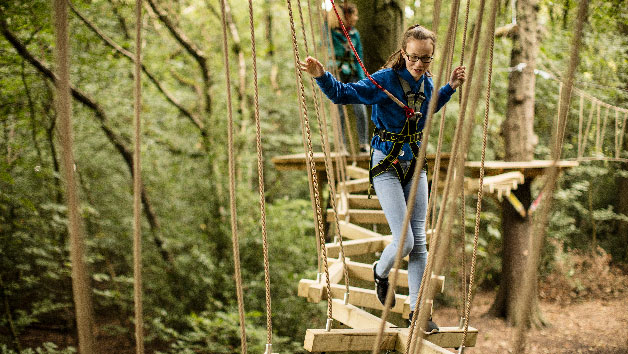 Entry To Zip Trek And Treetop Nets For Two At Treetop Trek