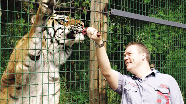 Feed The Big Cats By Hand At Paradise Wildlife Park (weekdays)