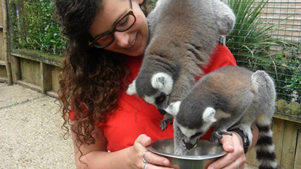 Feed The Lemurs For Two In Hertfordshire