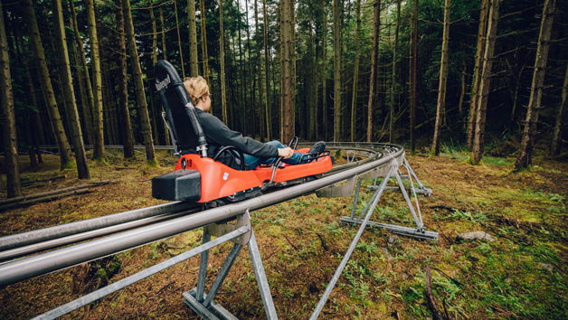 Fforest Coaster Ride At Zip World  Wales