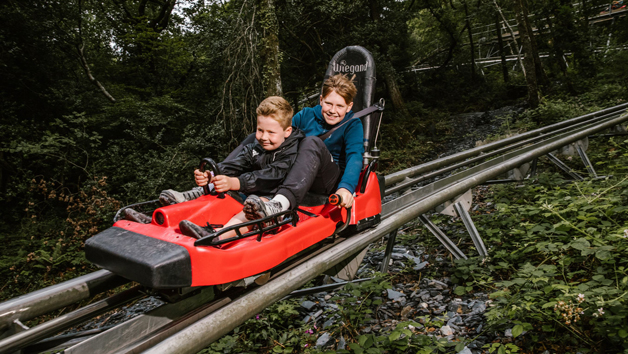 Fforest Coaster Ride For Two At Zip World  Wales