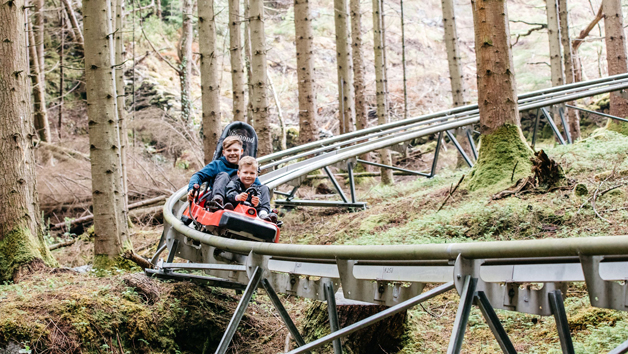 Fforest Coaster Shared Ride At Zip World  Wales