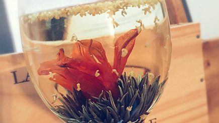 Flowering Jasmine Tea For Two At The Grove