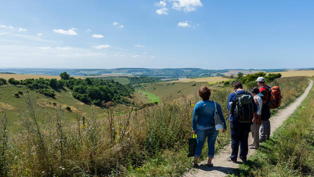 Full Day South Downs Walking Adventure With Pub Lunch And A Glass Of Wine For One