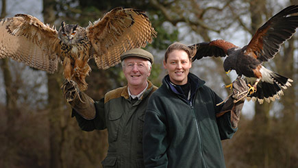 Hands-on Falconry Taster In Warwickshire