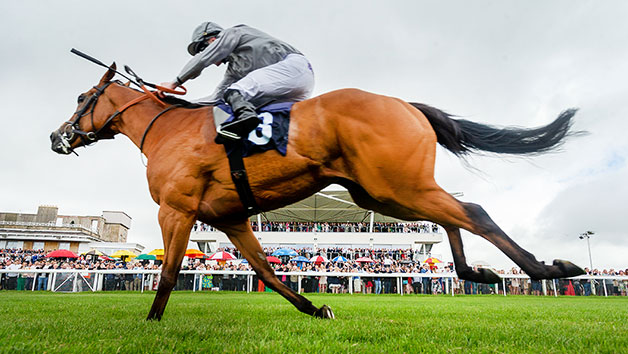 Horse Racing Day At Bath Racecourse For Two
