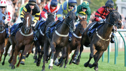 Horse Racing Day At Ffos Las Racecourse For Two