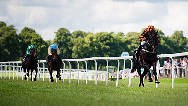 Horse Racing Day At Lingfield Park For Two