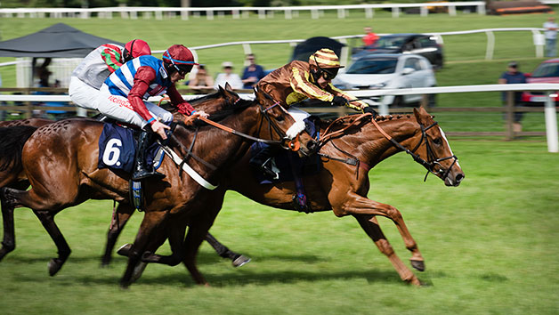 Horse Racing Day At Newcastle Racecourse For Two