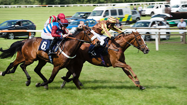 Horse Racing Day At Sedgefield Racecourse For Two