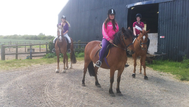 Horseriding Experience For Two At Plum Pudding Equestrian Centre