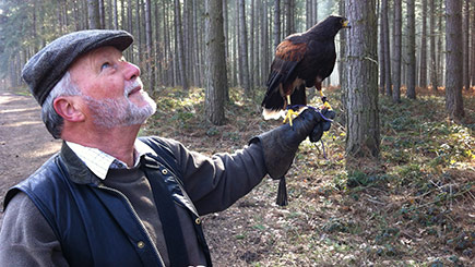 Introduction To Birds Of Prey With Bb Falconry