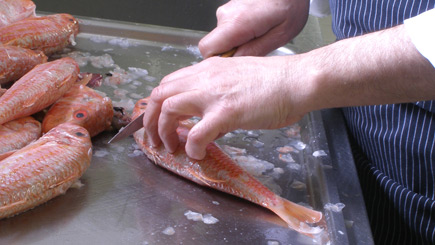 Introduction To Fishmongery In Essex