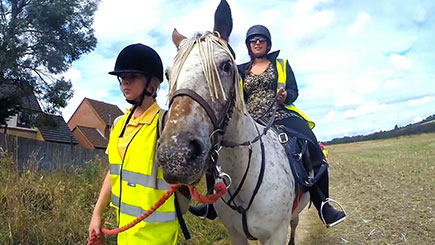 Introduction To Horse Riding In Bedfordshire