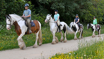 Introduction To Horse Riding In Nottinghamshire