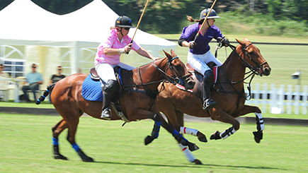 Introduction To Polo