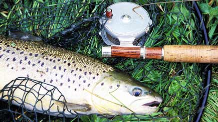 Introduction To Trout Fly Fishing