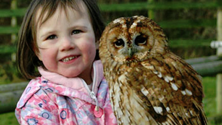 Kids Introduction For Two To Birds Of Prey
