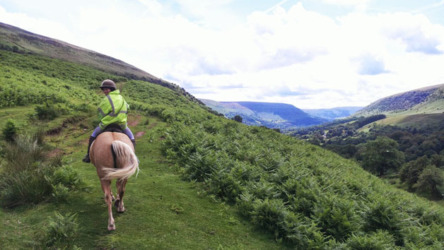 One Hour Horse Riding Experience At Grange Trekking For Two