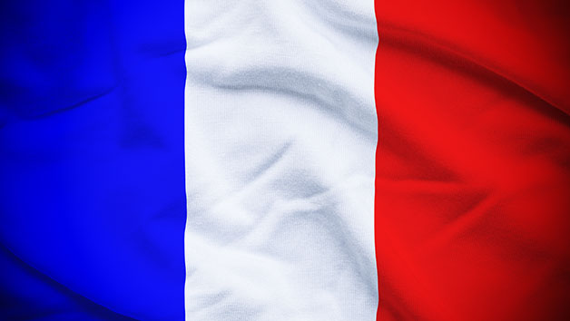 Online French Certification Course Level 1  2 And 3 For One Person