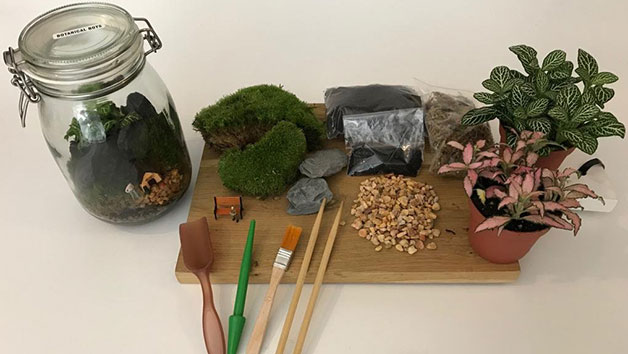 90 Minute Introductory Mini Ecosystem Workshop With Prosecco At Botanical Boys