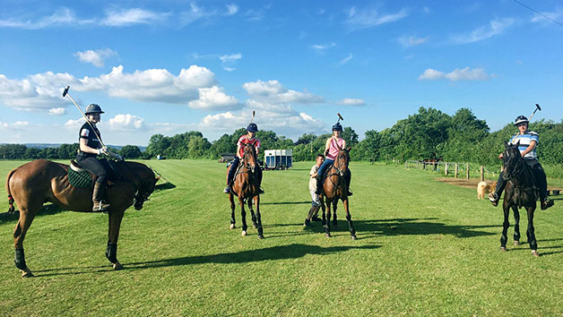 Polo Game With Lunch At Taunton Vale Polo Club For One