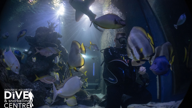 Scuba Diving With Sharks In Skegness