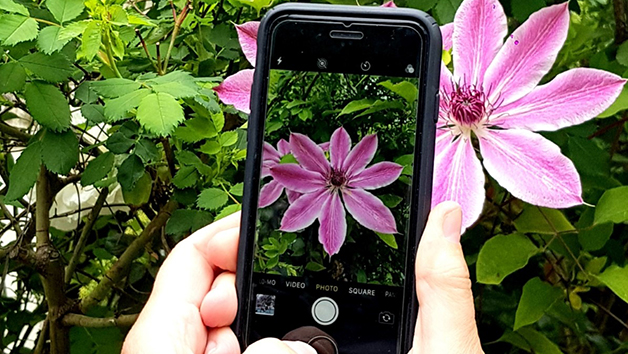 Smartphone Photography Challenge At Home With Simon Warren Photography