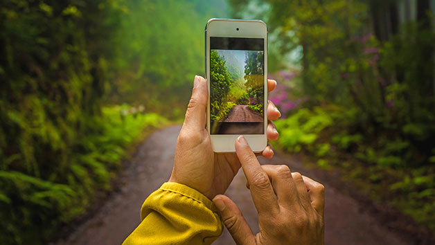 Smartphone Photography Four Week Online Course For One