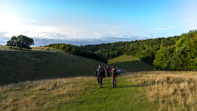 South Downs Ramble And Cream Tea For Two