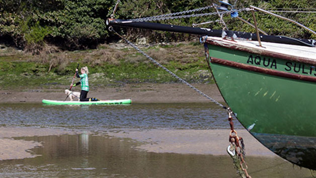Surf Or Stand Up Paddleboarding At Big Green Surf School For One