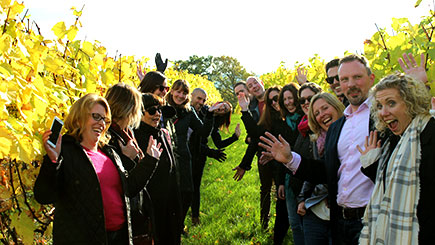 Sussex Vineyard And Cheese Coach Tour With Lunch And Wine Tasting