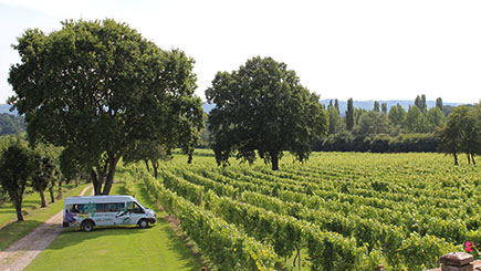 Sussex Vineyards Coach Tour With Lunch And Wine Tasting