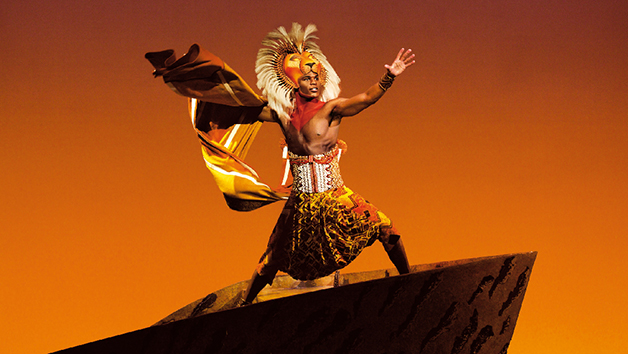 The Lion King Theatre Tickets For Two