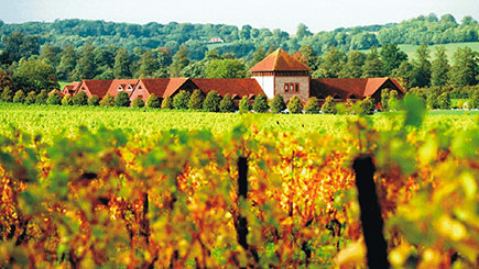 The One Day Wine Workshop For One At Denbies Vineyard  Surrey