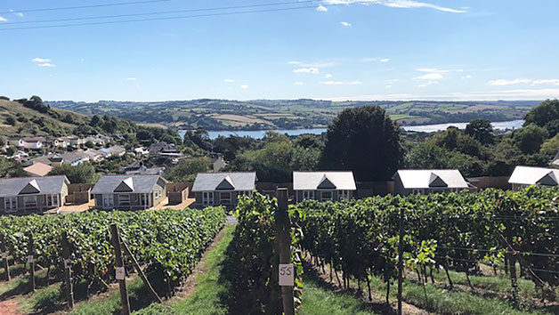 Tour And Tasting In Devon With Lunch For Two At Old Walls Vineyard