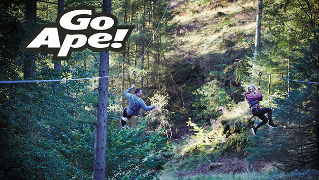 Tree Top Challenge At Go Ape For Two People