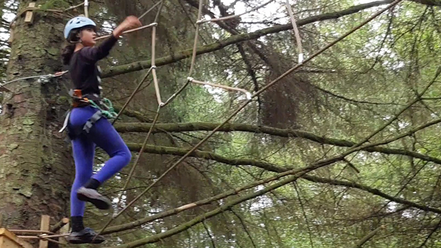 Tree Top Trials The Hero Experience For An Adult And A Child