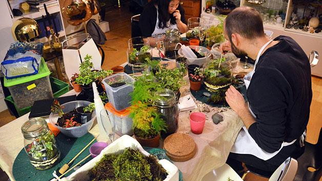 Two Hour Advanced Terrarium Workshop At Botanical Boys For One