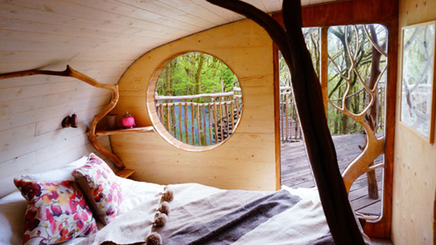 Two Night Family Treehouse Escape  Wales